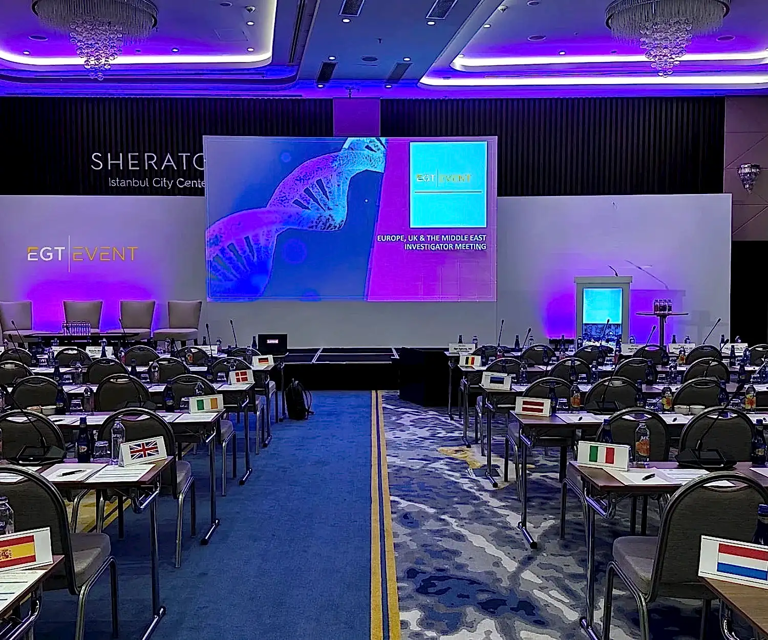 Organizasyon Şirketi